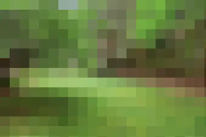 Jodendijk 10 Eefde thumbnail 38