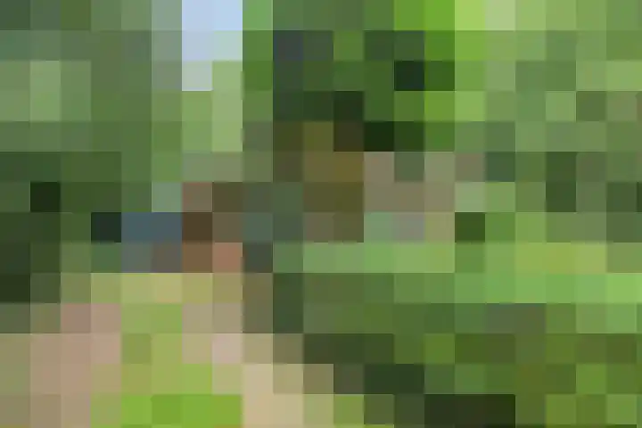 Jodendijk 10 Eefde thumbnail 4