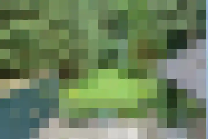 Jodendijk 10 Eefde thumbnail 44