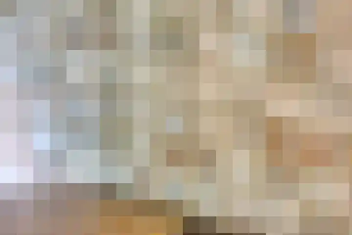 Jodendijk 10 Eefde thumbnail 45