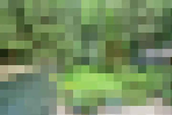 Jodendijk 10 Eefde thumbnail 46