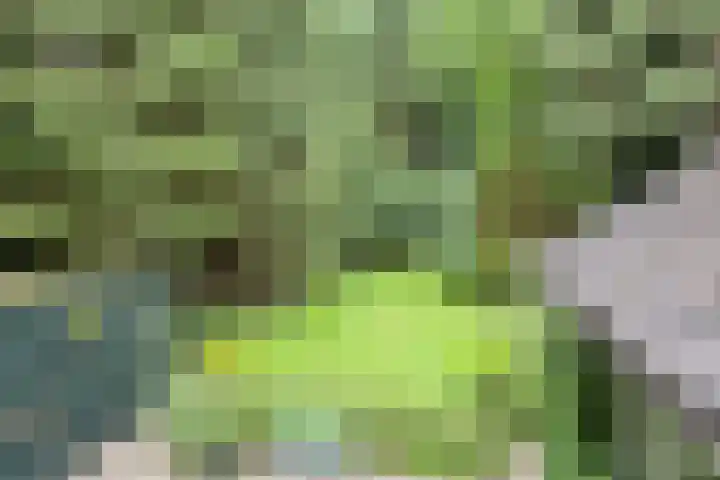 Jodendijk 10 Eefde thumbnail 47