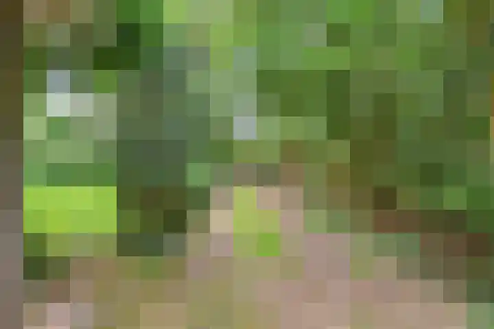 Jodendijk 10 Eefde thumbnail 48