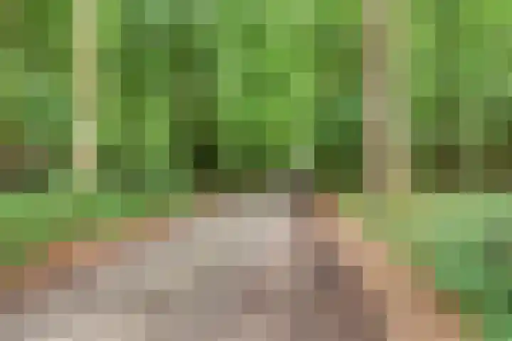 Jodendijk 10 Eefde thumbnail 49