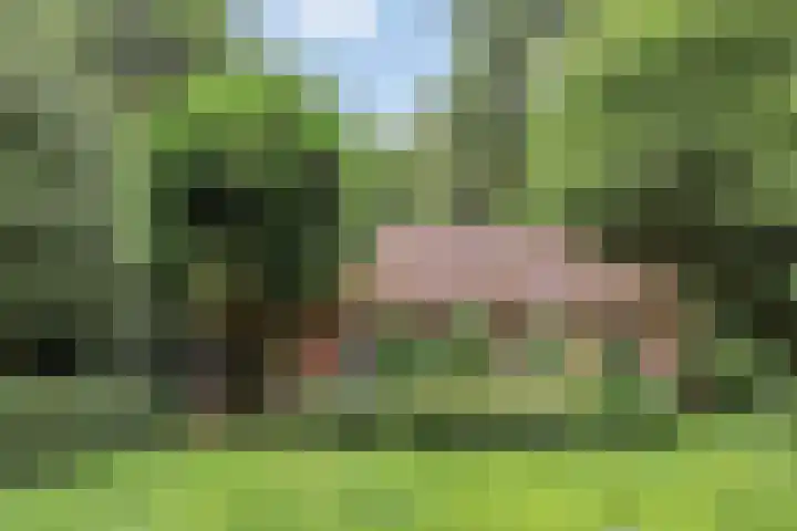 Jodendijk 10 Eefde thumbnail 5