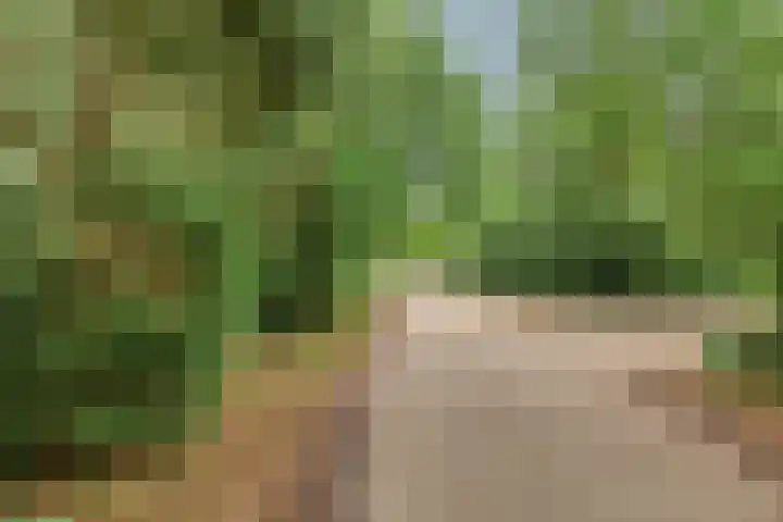 Jodendijk 10 Eefde thumbnail 50