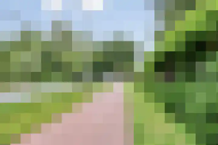 Jodendijk 10 Eefde thumbnail 51