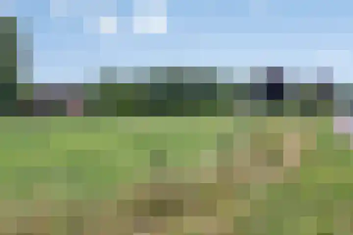 Jodendijk 10 Eefde thumbnail 52