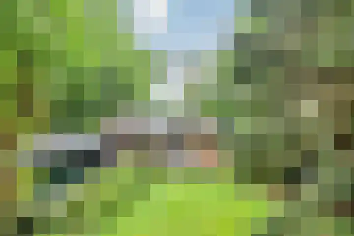 Jodendijk 10 Eefde thumbnail 57