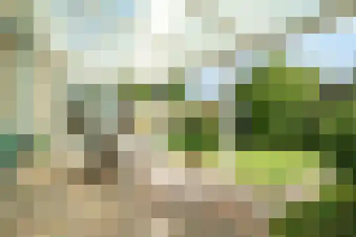 Jodichemdreef 14 Odijk foto 2