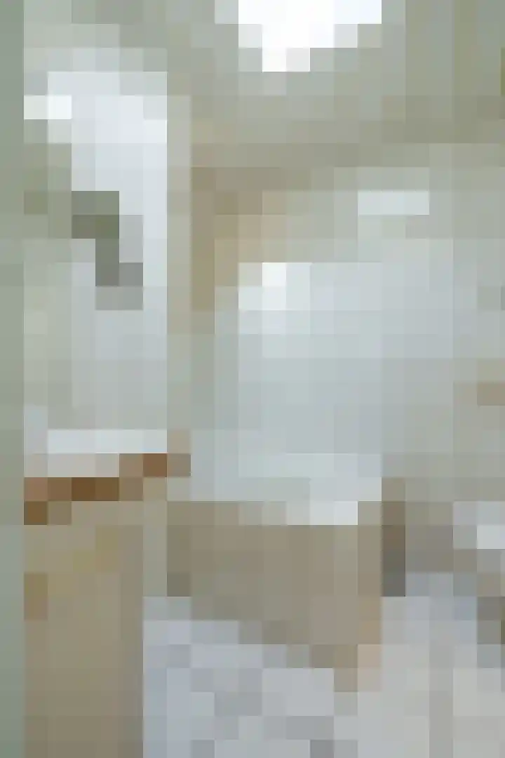 Jodichemdreef 14 Odijk thumbnail 20