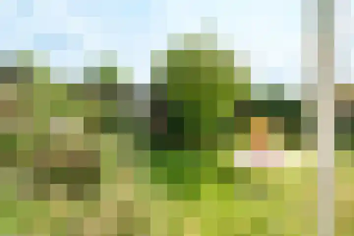 Jodichemdreef 14 Odijk thumbnail 23