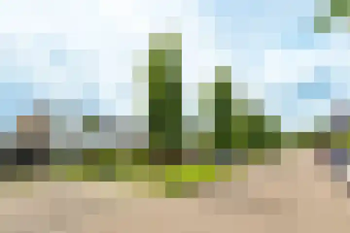 Jodichemdreef 14 Odijk thumbnail 25