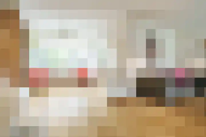 Jodichemdreef 14 Odijk thumbnail 8