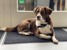 Foto van Joep Manager klanten relaties