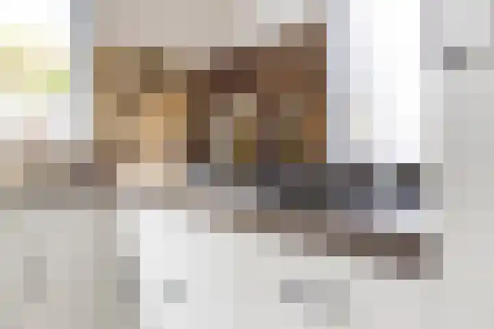 Joeswerd 105 Groningen thumbnail 16