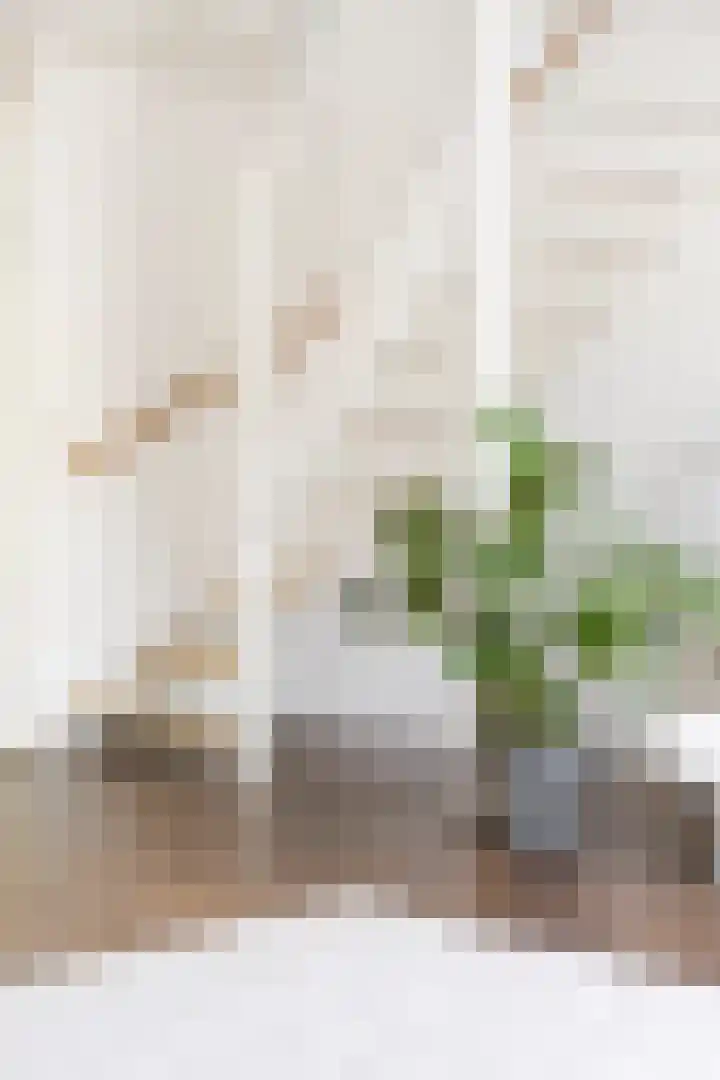 Joeswerd 105 Groningen thumbnail 20