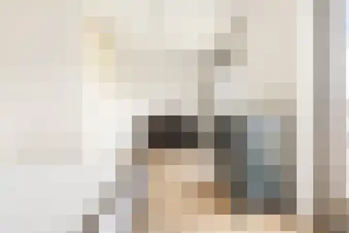 Joeswerd 105 Groningen thumbnail 25