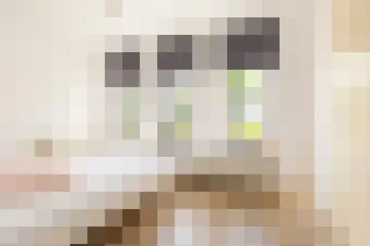 Joeswerd 105 Groningen thumbnail 26