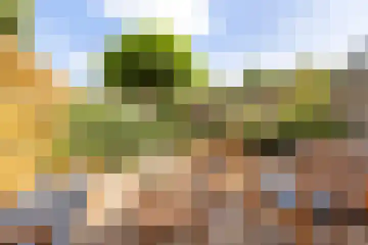 Joeswerd 105 Groningen thumbnail 34