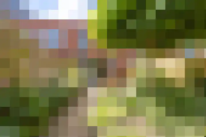 Joeswerd 105 Groningen thumbnail 38