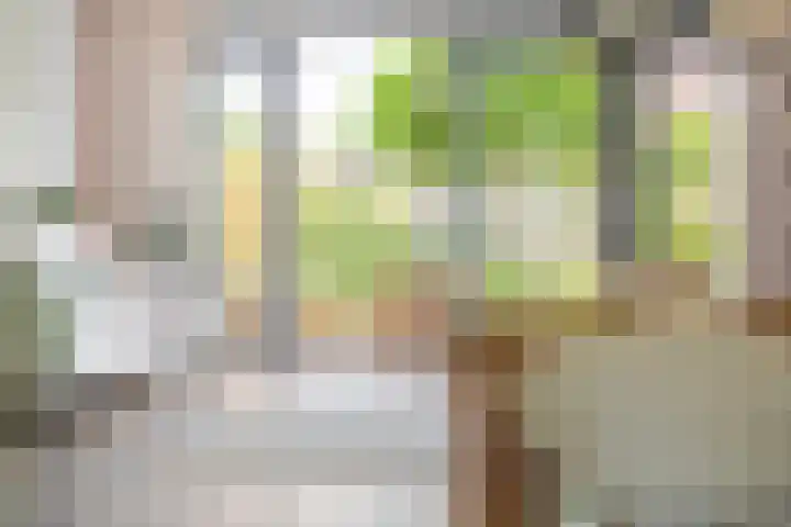 Joeswerd 105 Groningen thumbnail 48