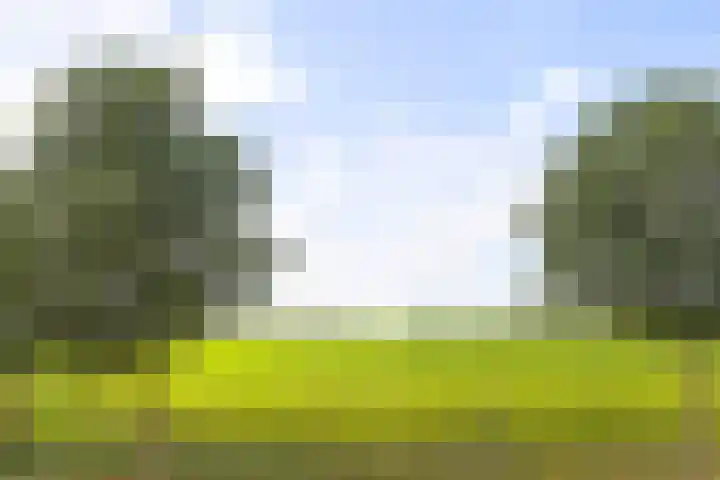 Joeswerd 105 Groningen thumbnail 5