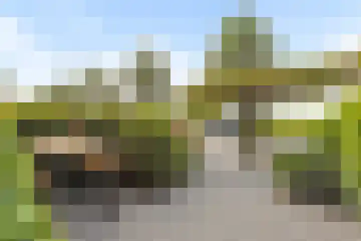 Joeswerd 105 Groningen thumbnail 7
