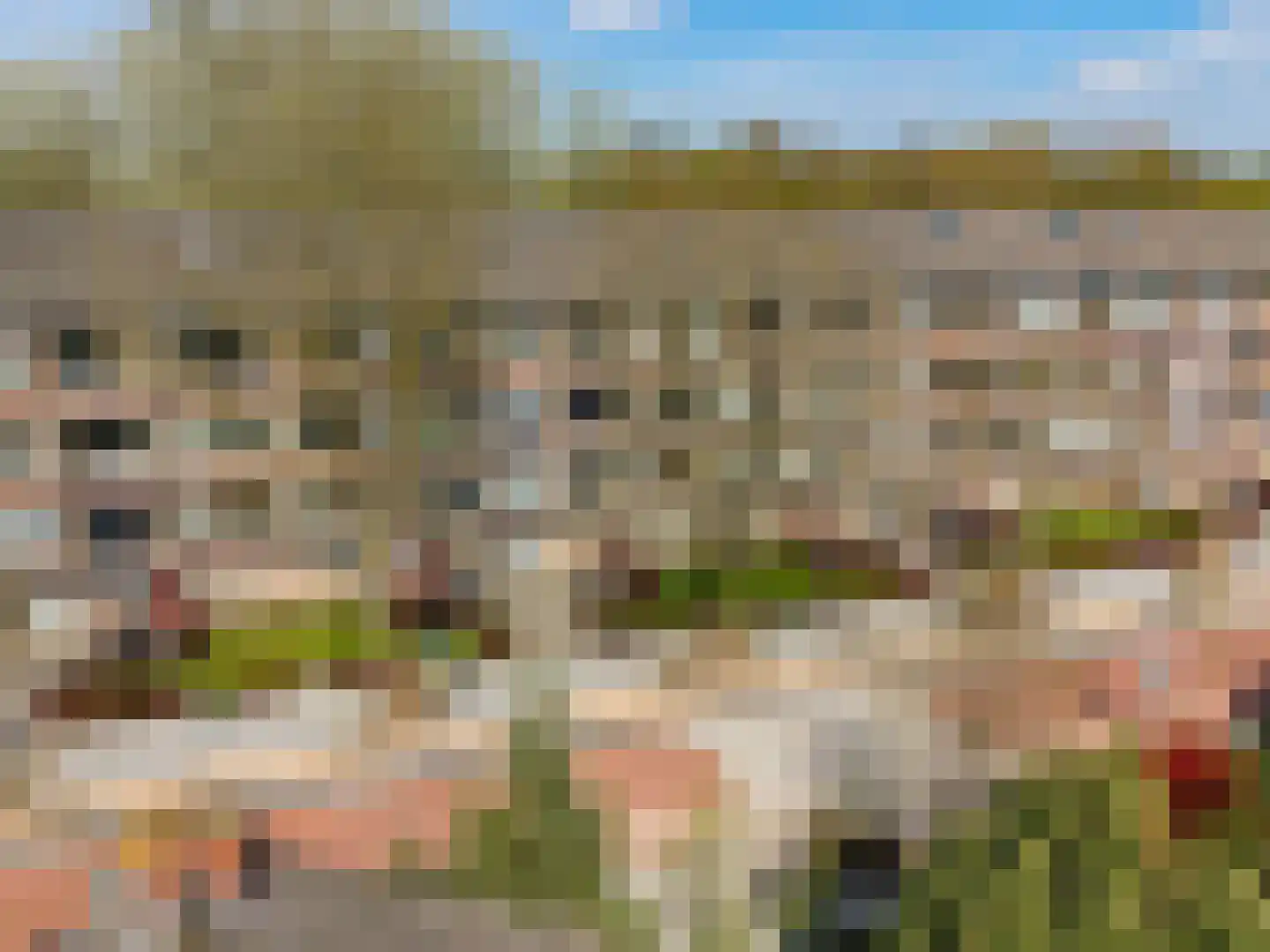 Photo of Joey van den Haak