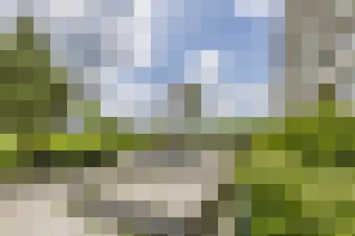 Joh. Poststraat 7 Breukelen thumbnail 30