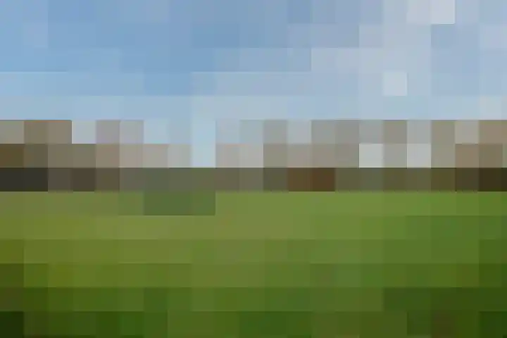 Johan Brouwerstraat 112 Best thumbnail 23