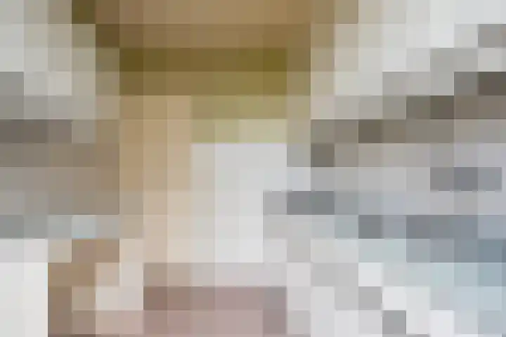 Johan Brouwerstraat 112 Best thumbnail 9
