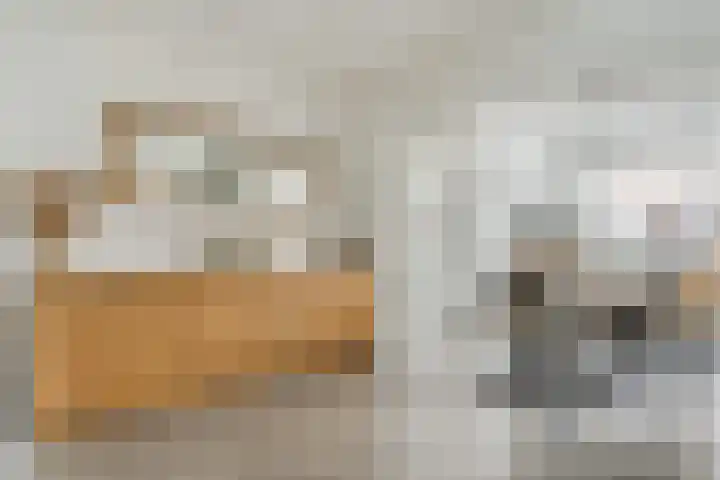 Johan Brouwerstraat 32 Best thumbnail 14