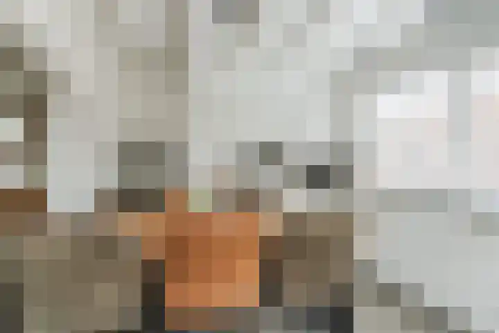 Johan Brouwerstraat 32 Best thumbnail 19