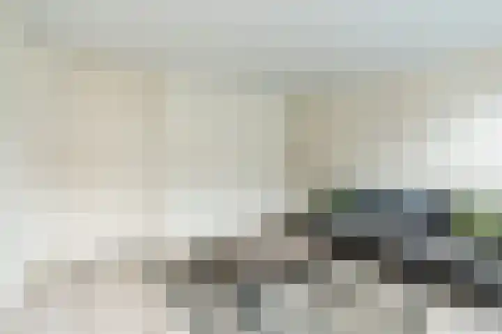 Johan Brouwerstraat 32 Best thumbnail 33