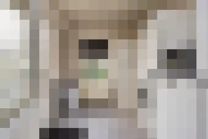 Johan Brouwerstraat 78 Best thumbnail 18