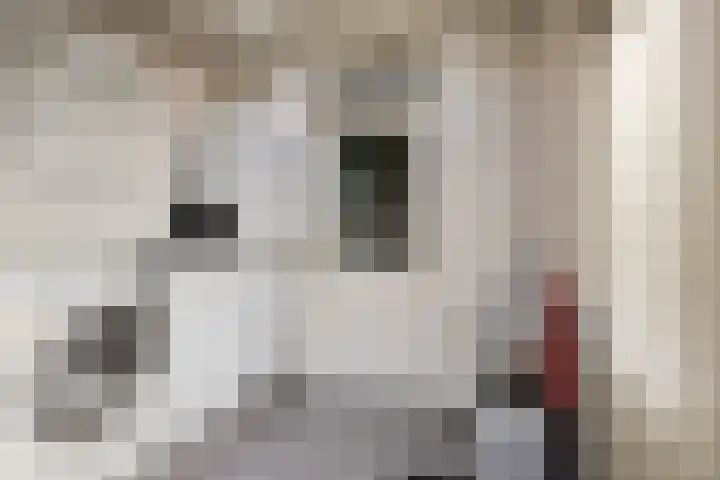 Johan Brouwerstraat 78 Best thumbnail 19