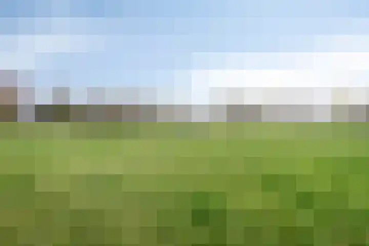 Johan Brouwerstraat 78 Best thumbnail 38