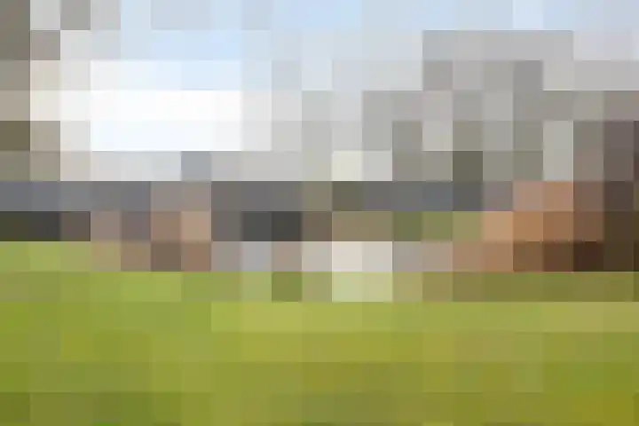 Johan Brouwerstraat 78 Best thumbnail 40