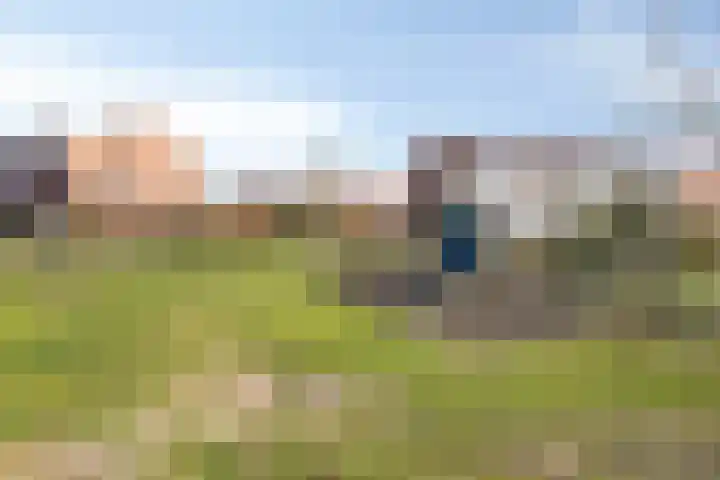 Johan Brouwerstraat 78 Best thumbnail 41