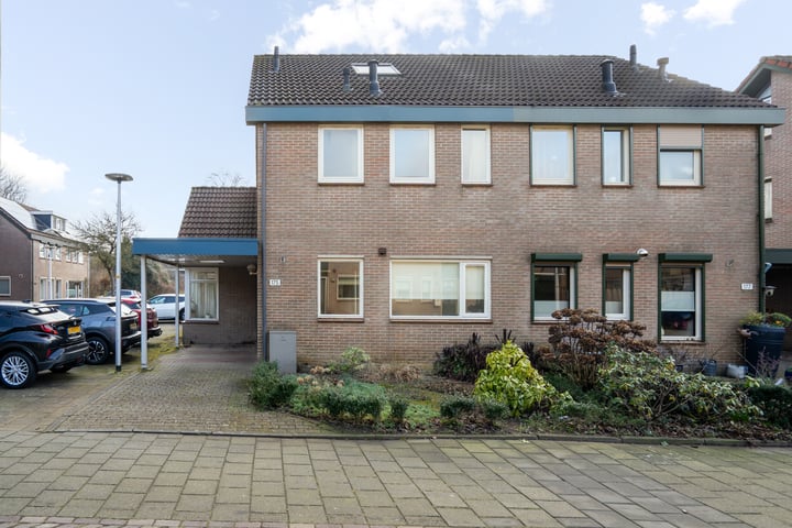 Johan Buziaustraat 175 in Hengelo foto