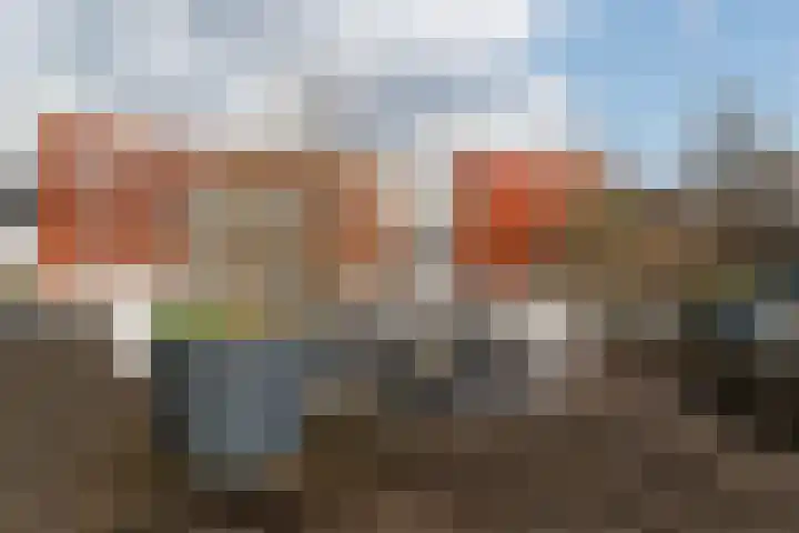 Johan de Meesterstraat 53 Utrecht thumbnail 15