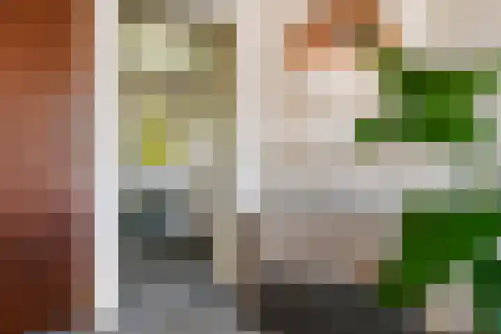 Johan de Meesterstraat 9 Haarlem thumbnail 10