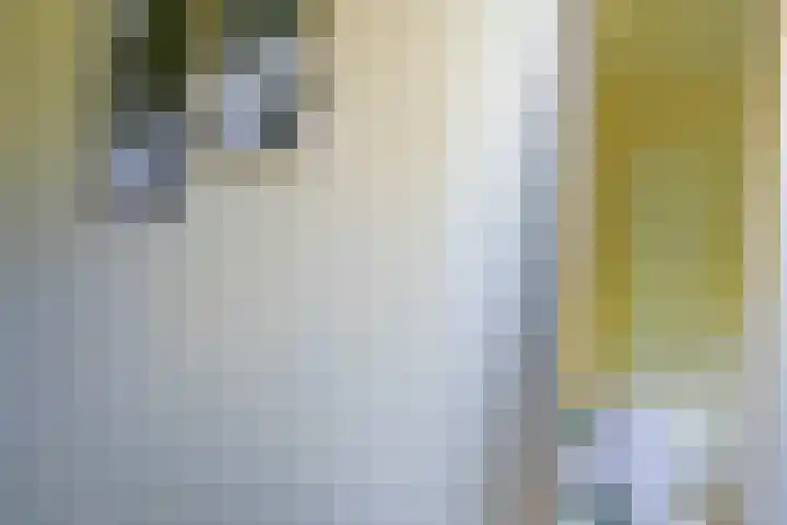 Johan de Meesterstraat 9 Haarlem thumbnail 21