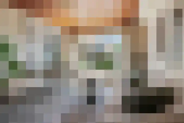 Johan de Meesterstraat 9 Haarlem thumbnail 5