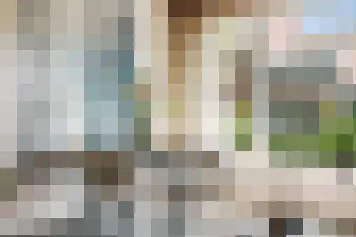 Johan de Meesterstraat 9 Haarlem thumbnail 6