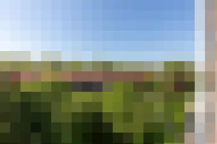 Johan de Wittlaan 100 Arnhem thumbnail 25