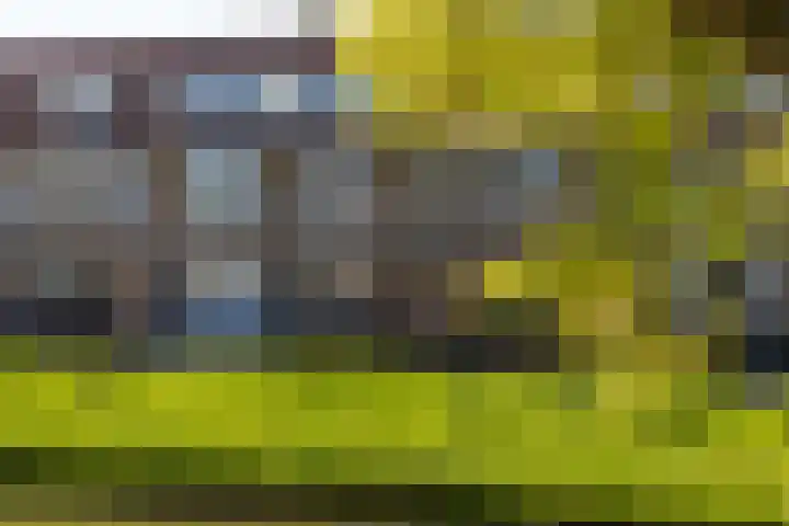 Johan de Wittlaan 100 Arnhem thumbnail 28