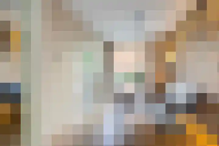 Johan de Wittlaan 145 Arnhem thumbnail 14