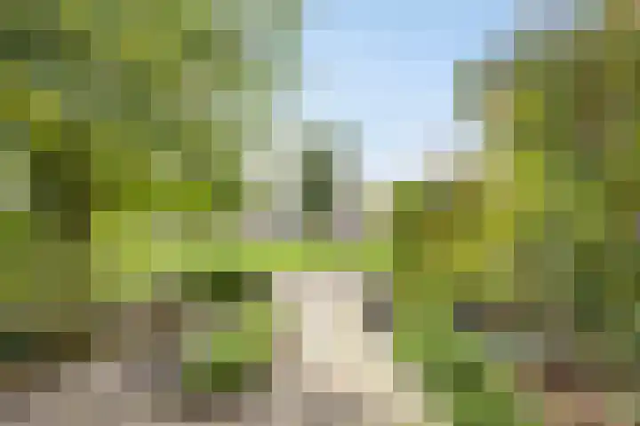 Johan de Wittlaan 145 Arnhem thumbnail 26